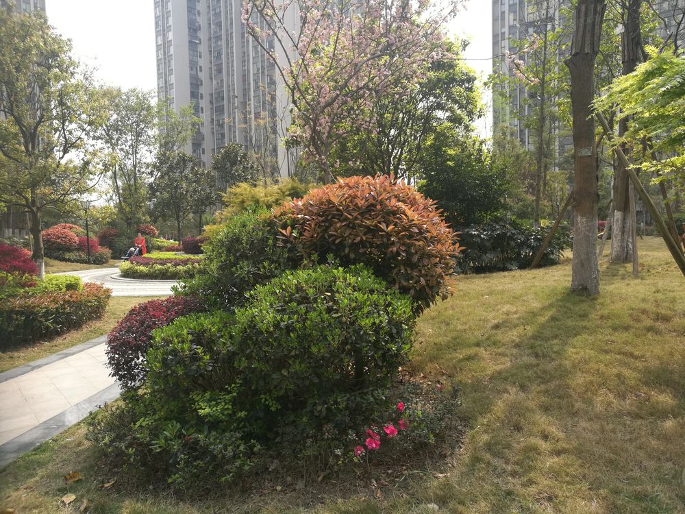 小区相关图
