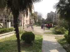 一梯两户、两房朝南、不靠近马路、现代风格、诚意出售