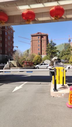 红状元实景图