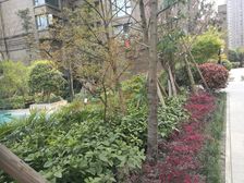 东御佲家 1室2厅 东北