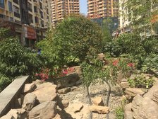溪谷3室1厅东南