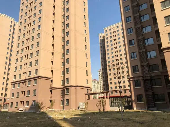 美震瑞景时代