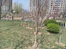 金桥澎湖山庄 3室2厅 东 西