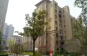 绿城东方雅园实景图