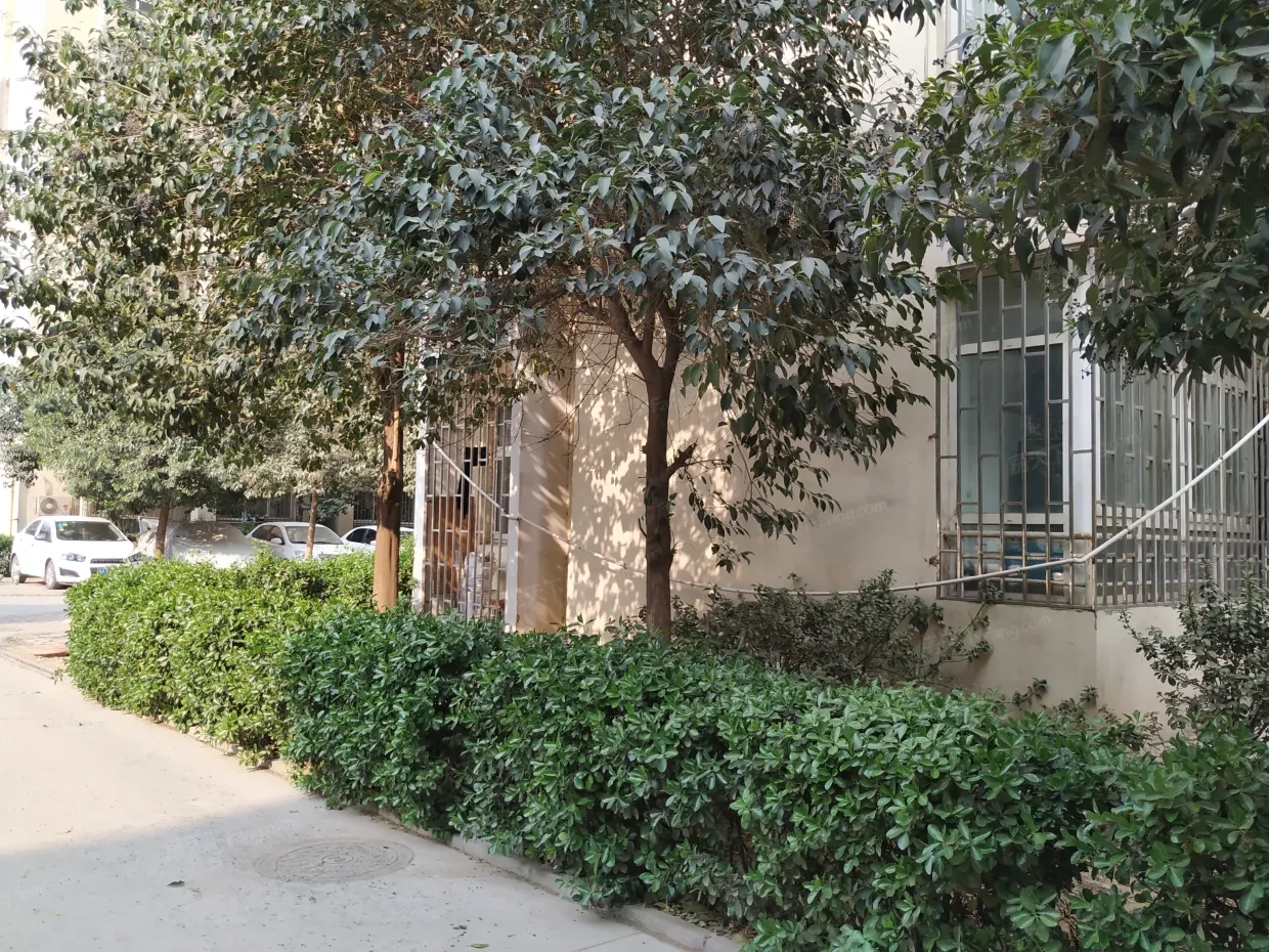 【郑州鹏飞花园小区,二手房,租房】- 郑州房天下