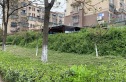 威尼斯水城第十街区实景图