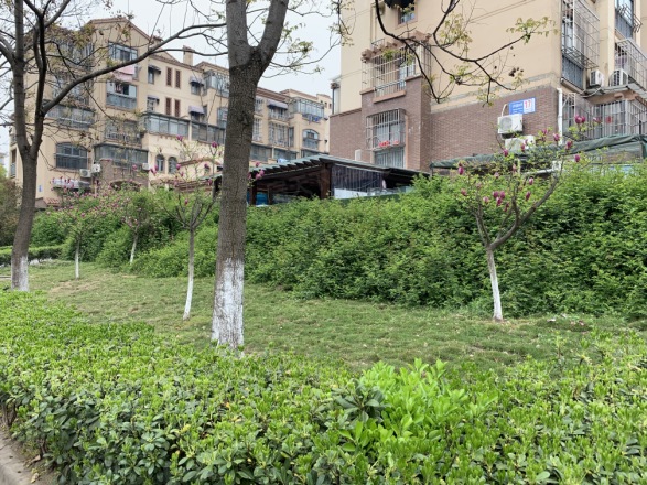 威尼斯水城第十街区实景图