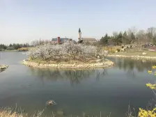 龙湖花屿墅下叠,四室两厅,门前带车位带南向院子