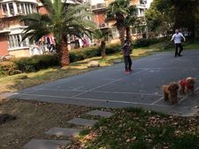 品质小区,环境优美,诚意出售,精装好房