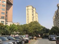 高东·南新东园·3室·1厅