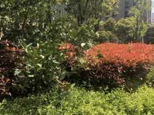 一梯三户,客厅朝南,两房朝南,交通便利,环境优美,精装修,刚需好房,价格好谈