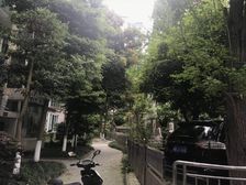 欣盛家园3室1厅南