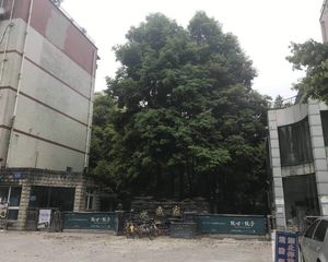 欣盛家园3室1厅西南