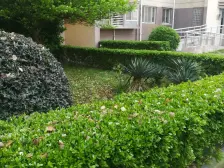 张江必看独栋别墅+全新装修未入住+小区位置好