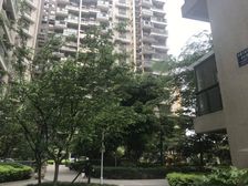 榕树岭2室2厅东南