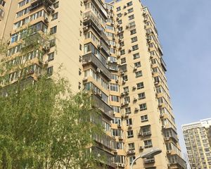 朝阳公园东石佛营地铁口2002年商品房