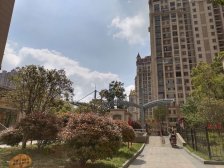 中大城 南北通透,采光好 装修好,环镜优美 中间楼层