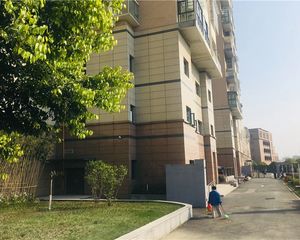 清江别韵3室2厅东南