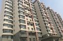天和嘉园实景图