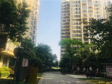 清江别韵3室2厅东南
