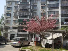 曹路·丰怡苑·1室·1厅