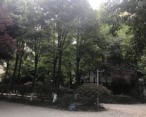 欣盛家园3室2厅西北