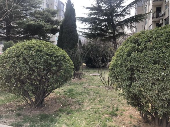 丰源山庄实景图
