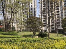 东外滩1号电梯一线江景,景观房,诚心出售,看房有密码锁