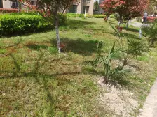 9号线50米,电梯中间楼层,清水毛坯,一手动迁