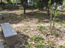 带阁楼,税费少,带装修,近地铁