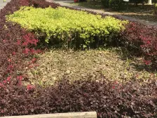 此房动迁南北户型 户型格局好低楼层视野宽阔