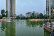 小区园林实景图