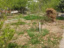 中间楼层精装修。产权清晰,看房提前预约