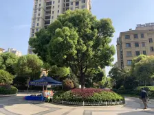 太湖新城(吴江) · 伟业迎春世家 · 2室 · 2厅