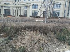 成熟社区,小区绿化环境好,环境优美,居住人群素质高