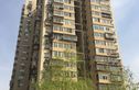迎曦园实景图