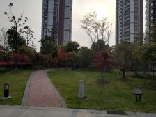 杨木桥小户精装诚心卖,价格可谈