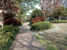 万科精装大四房诚意出售,小区中间安静,楼层视野好