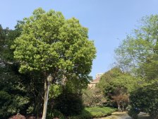 得房率很高的房子,户型也棒,住的很安静