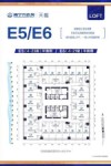 E5#E6#标准层平面图
