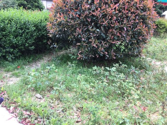 金盛金磐实景图