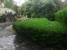 小区花园位置,安静,采光视野都好