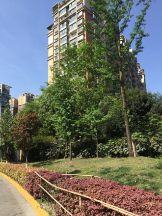 南城都汇汇馨园实景图