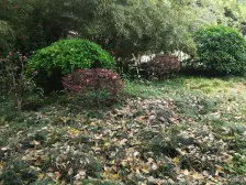 花苑村紫竹园 2室1厅 南