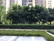 好地段的好房子 横厅户型三房带书房 价格可谈