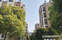 玫瑰久久实景图