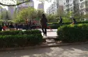 金色家园实景图