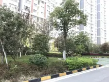 翠锦苑,两室两厅,南北户型前排无遮挡,视野开阔