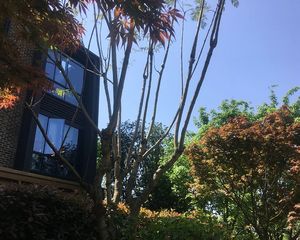 龙湖双珑原著3号地4室2厅东南