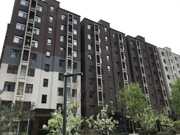 金第万科金域东郡